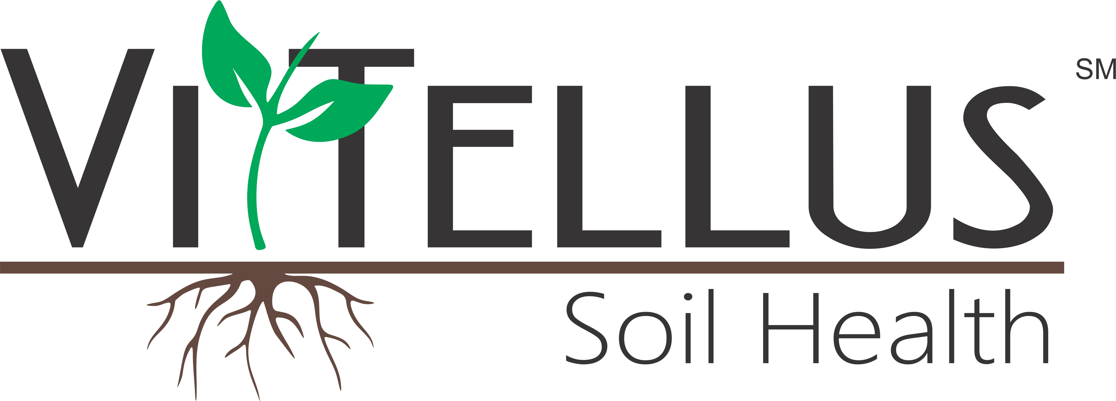VitTellus logo