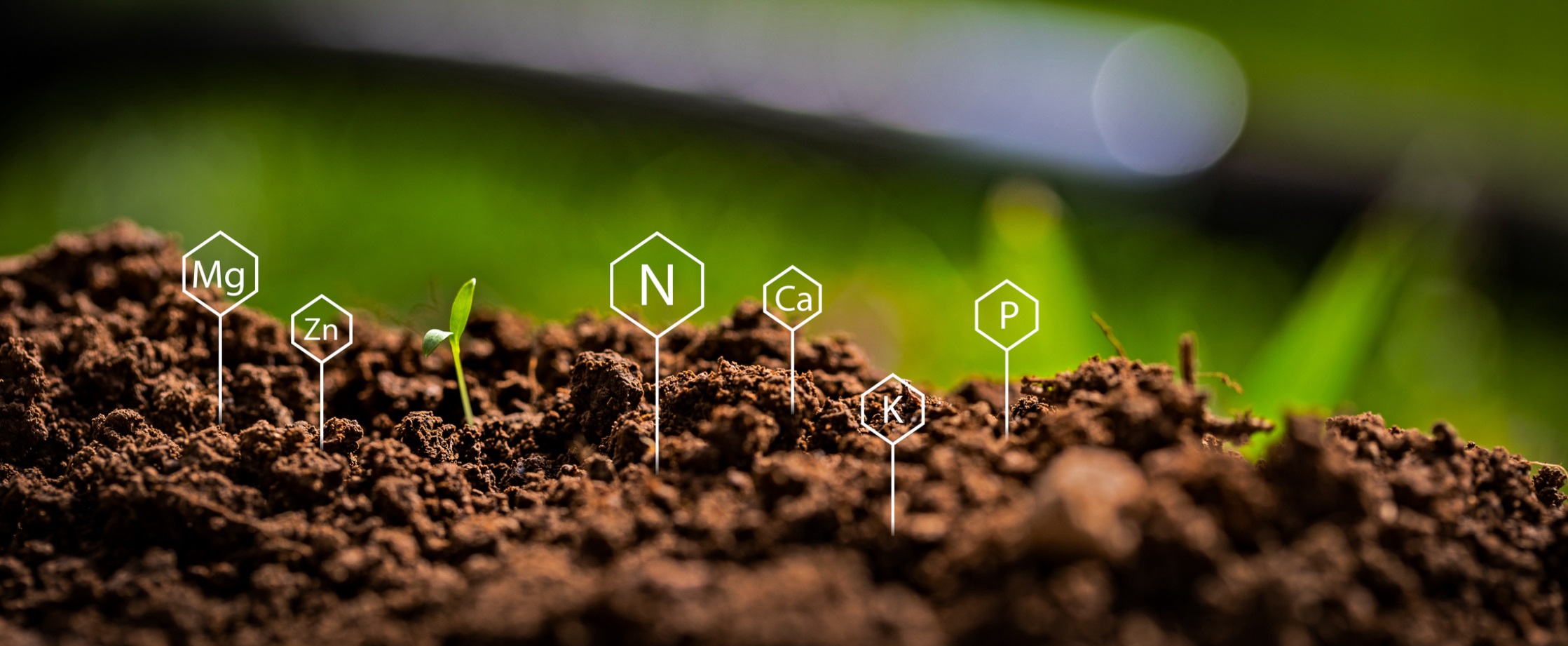Soil Analysis, Soil Testing, Soil Nutrients