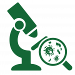 Microbiological Scan & Aflatoxin Testing