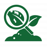 Plant & Soil Disease Diagnostics