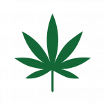 marijuana